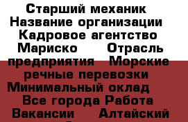 Старший механик › Название организации ­ Кадровое агентство "Мариско-2" › Отрасль предприятия ­ Морские, речные перевозки › Минимальный оклад ­ 1 - Все города Работа » Вакансии   . Алтайский край,Славгород г.